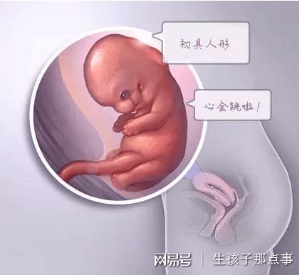 安悦佳妇产医院